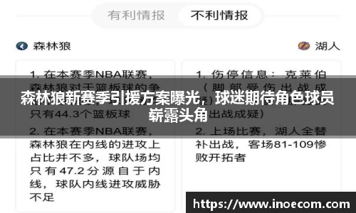 森林狼新赛季引援方案曝光，球迷期待角色球员崭露头角